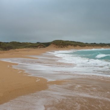 Dog friendly beaches to visit near Padstow.